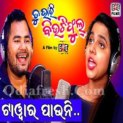 Tower Paauni - Tu Bhari Beautiful